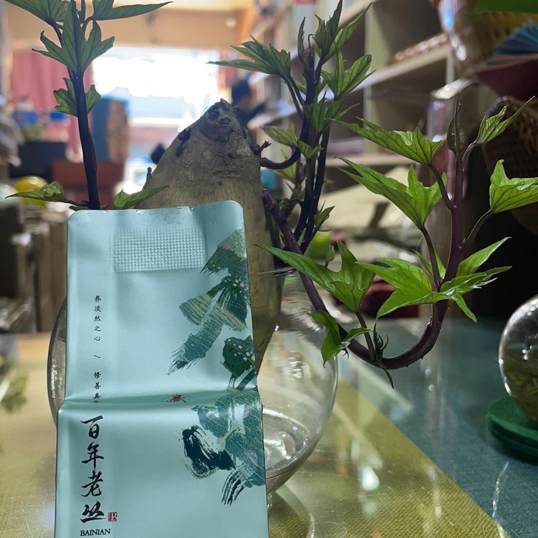 一杯香茗