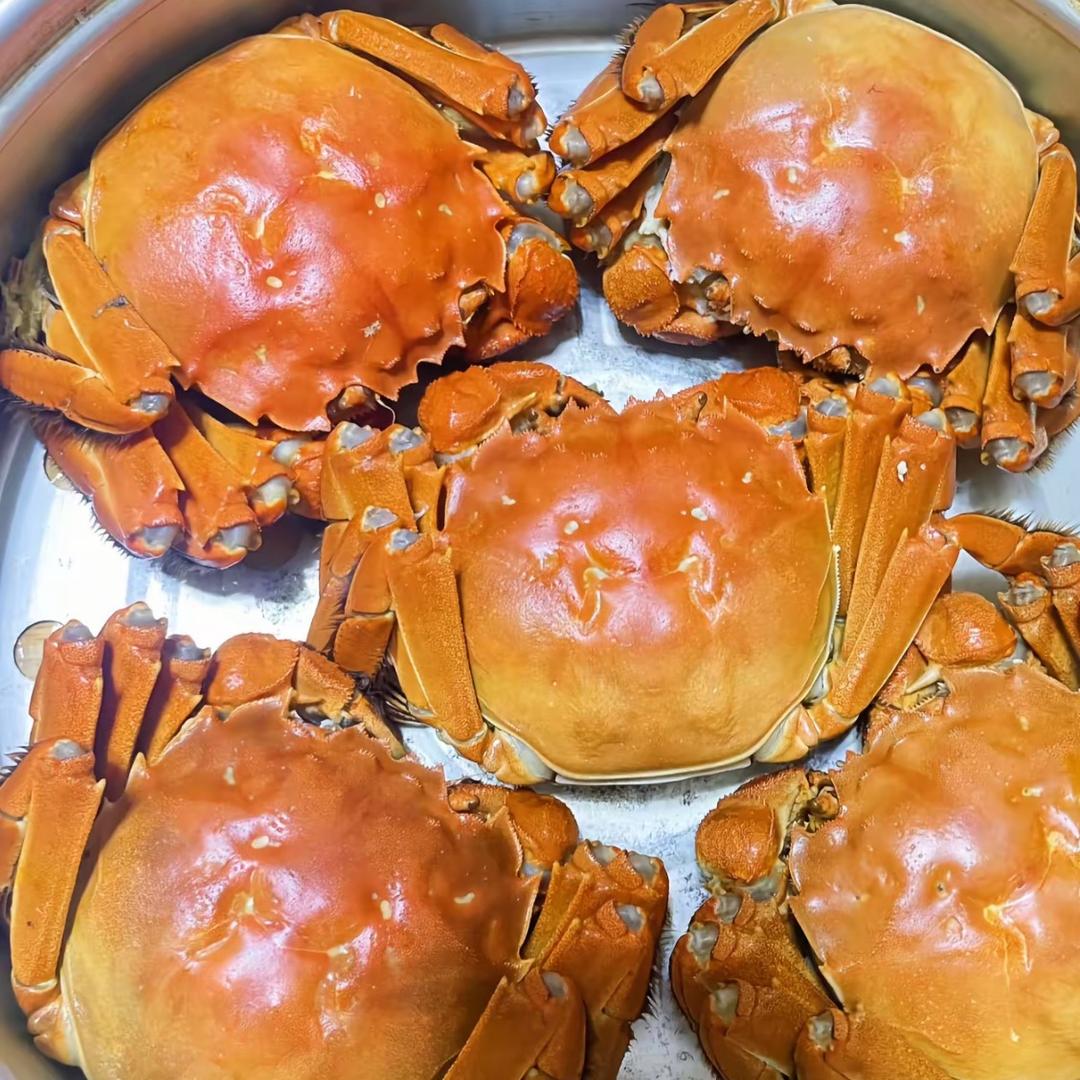 没名字 看头像