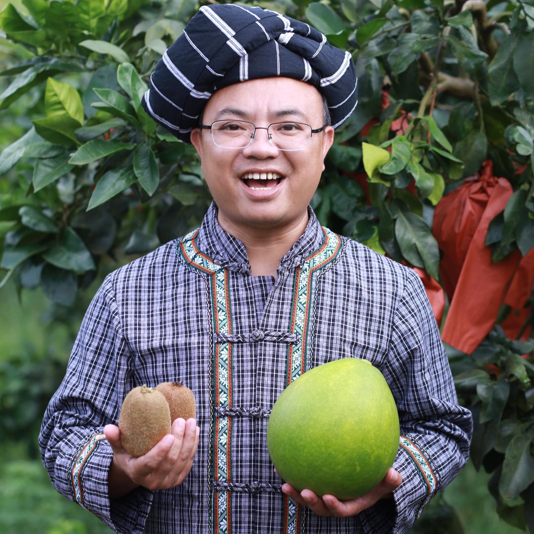 凤凰村长