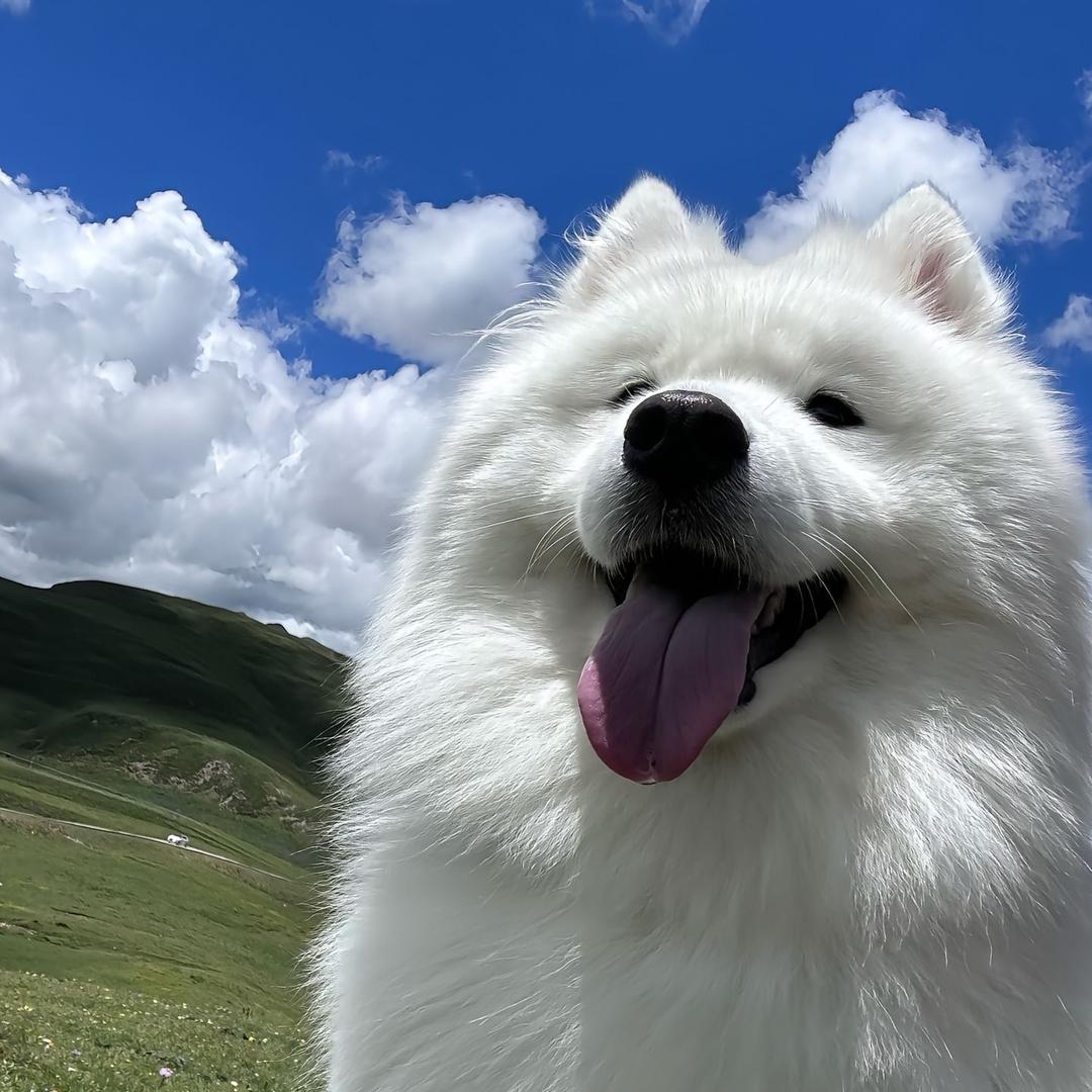 小抖团购福利官