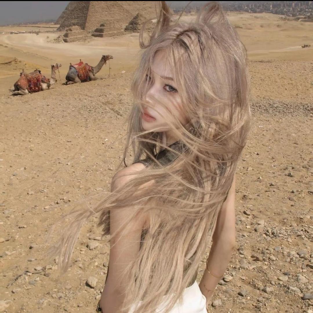 晚睡小猫🐱