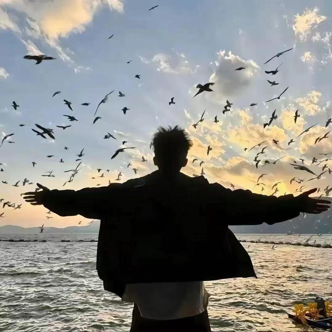 深情的浪漫土狗