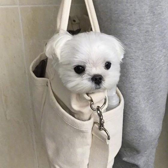 超爱睡觉
