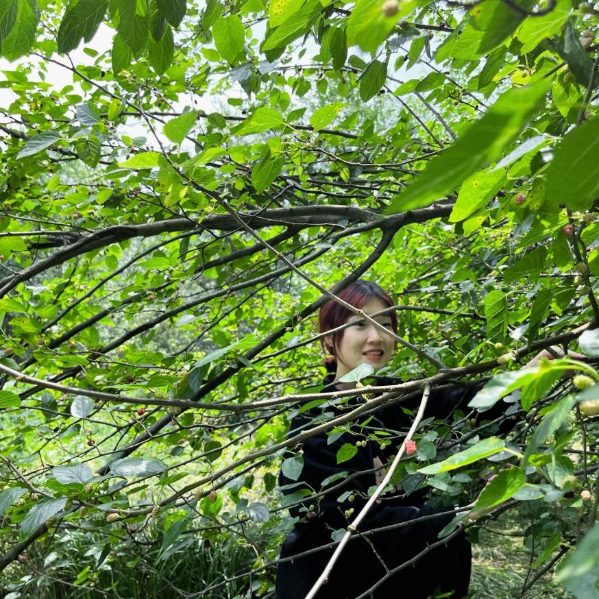丸子✨