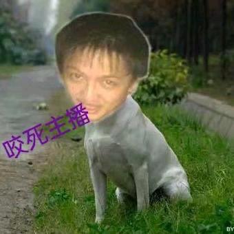 水鱼仔