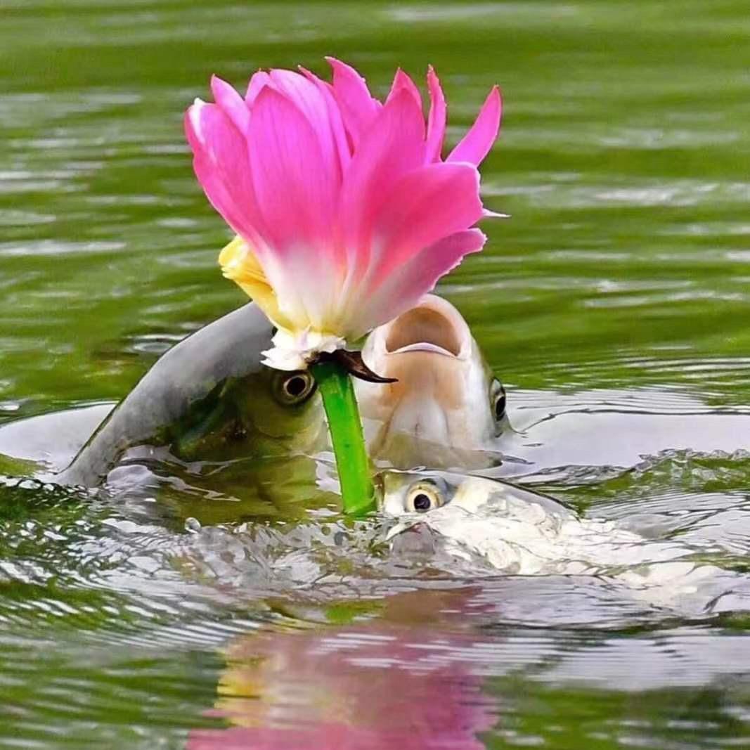 有〈基〉可遇