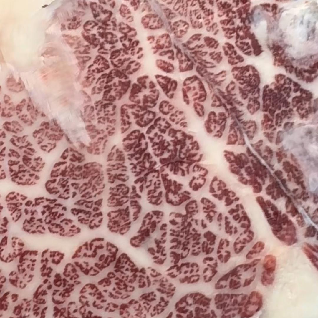潮味鲜