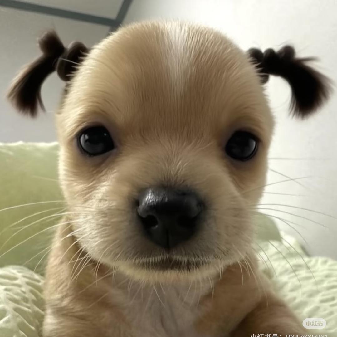 ToT