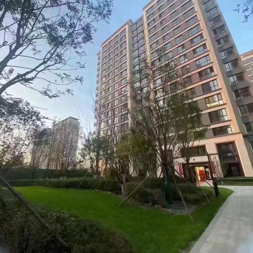 沈阳强哥探房