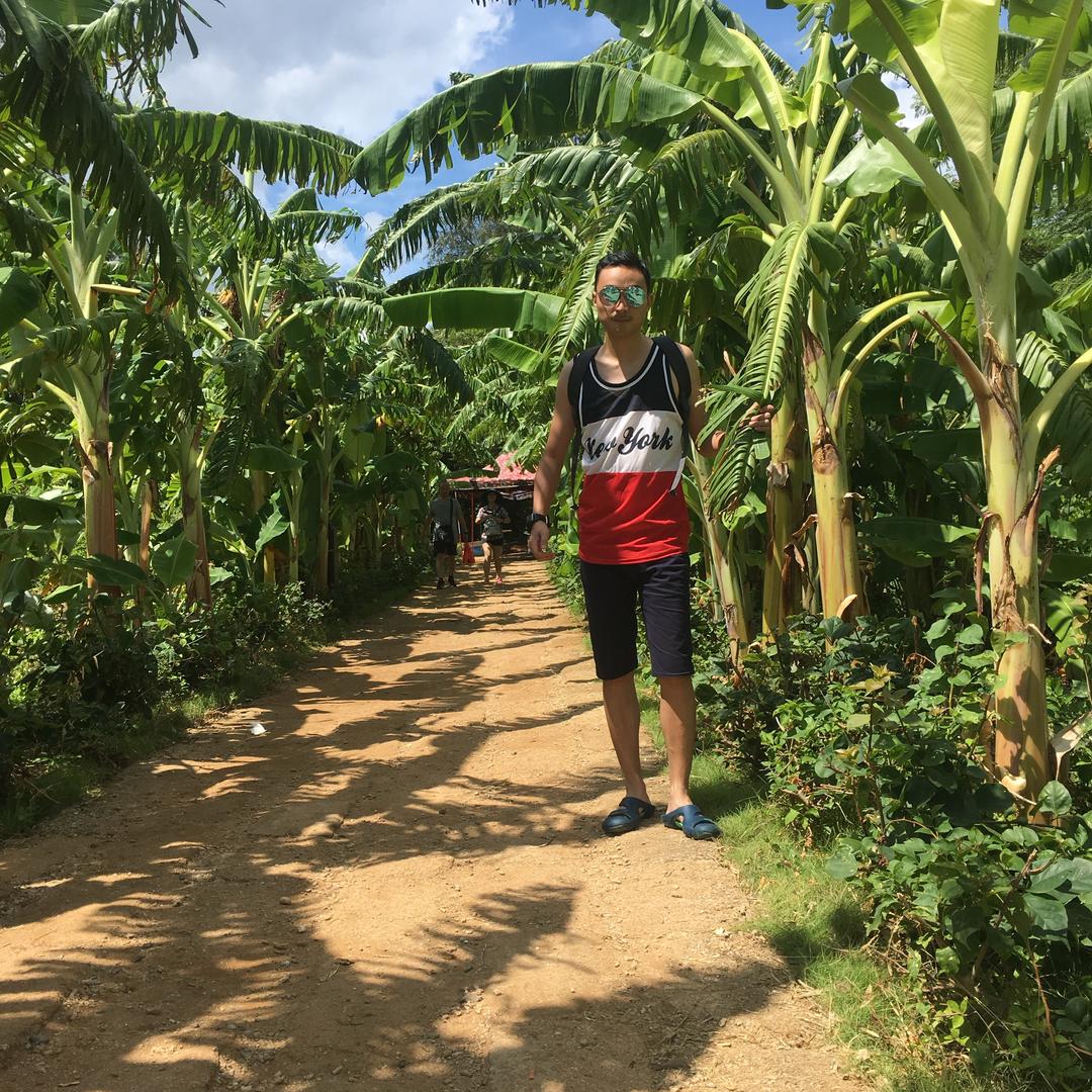 蓝鲸帽哥游🌴