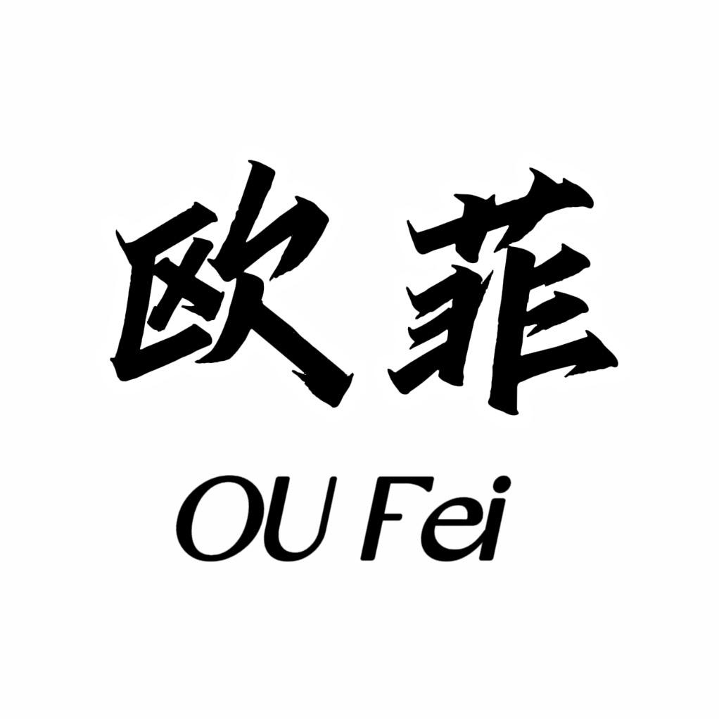 欧菲柜柜女鞋