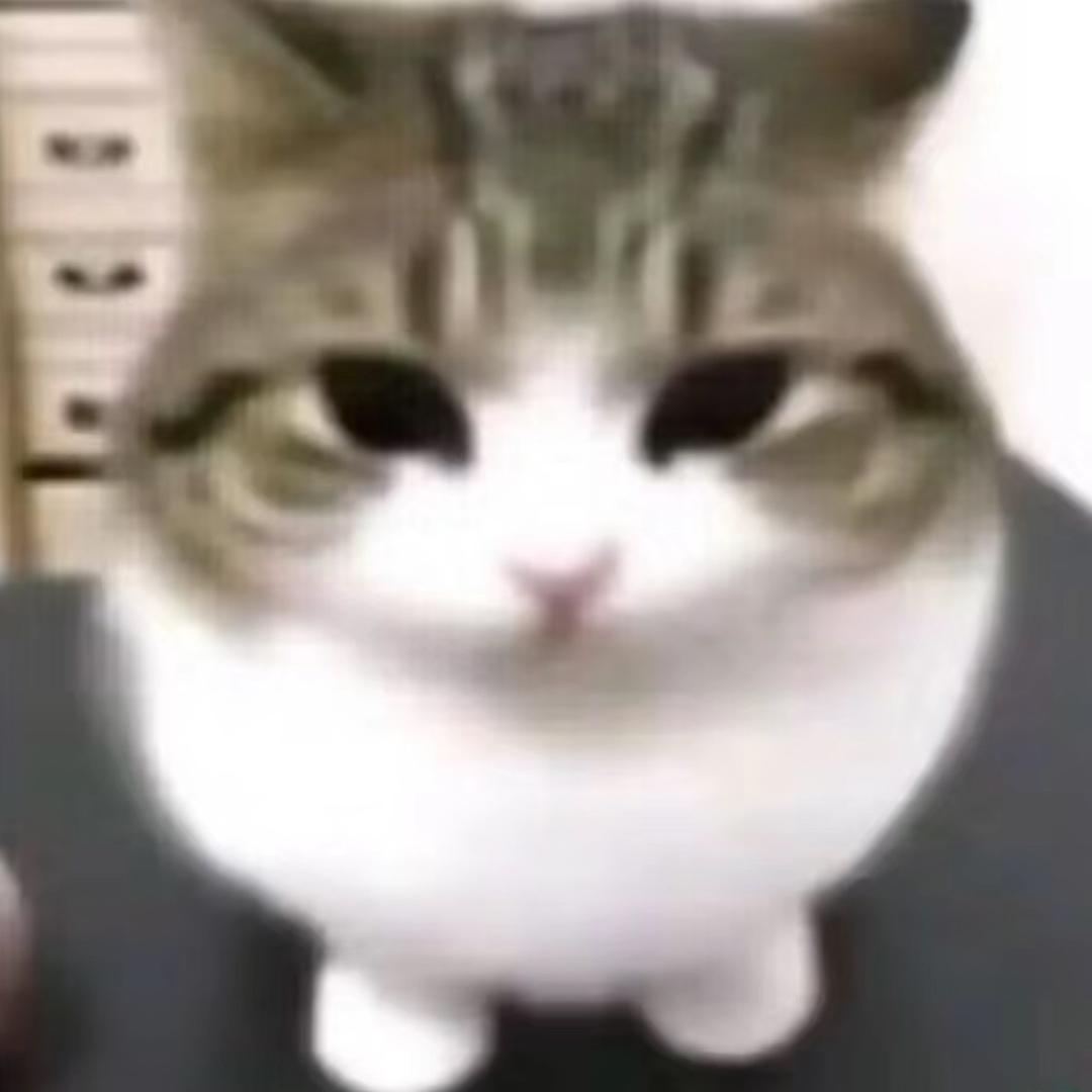 饭饭是甜的