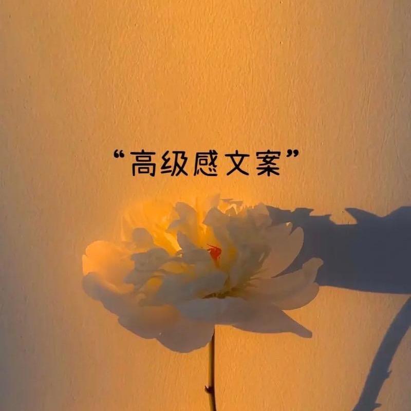 晴儿文案馆