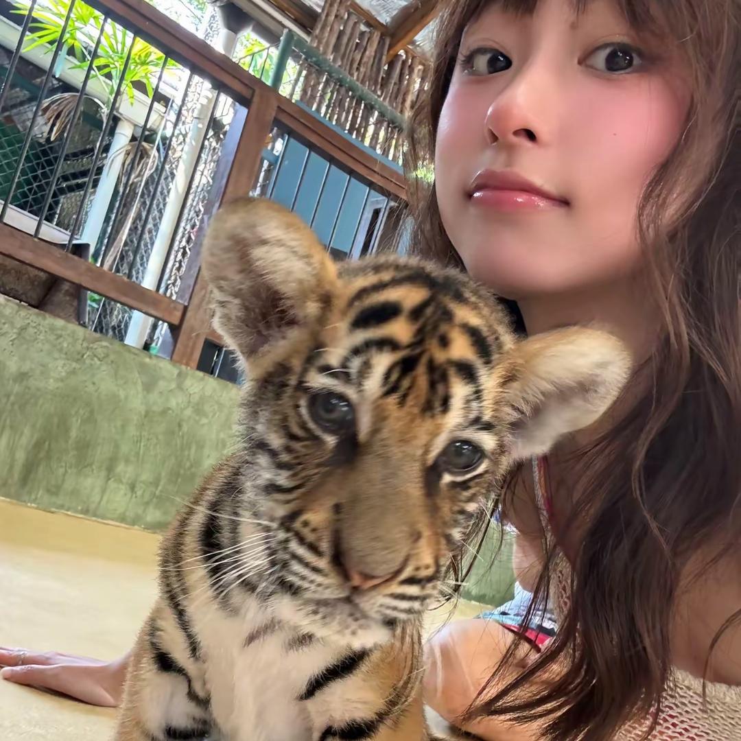 小虎