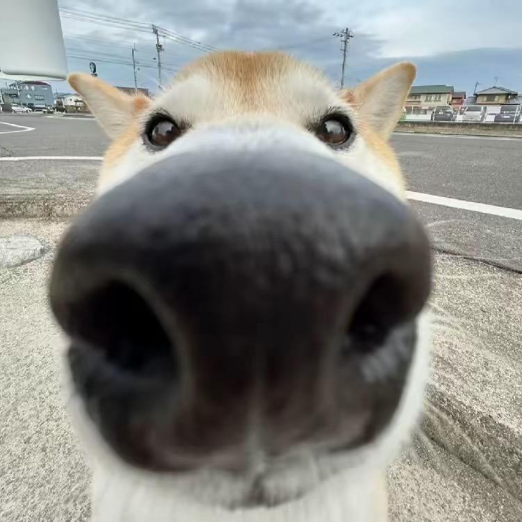 想瘦好难