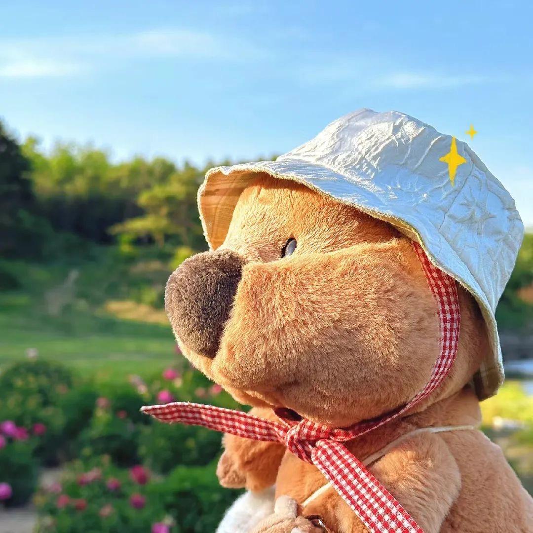 楚楚妈好物分享