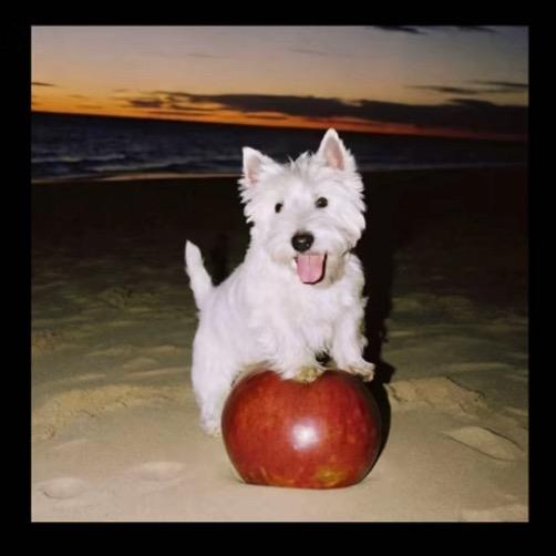 ￴ ￴￴ ￴ ￴ ￴