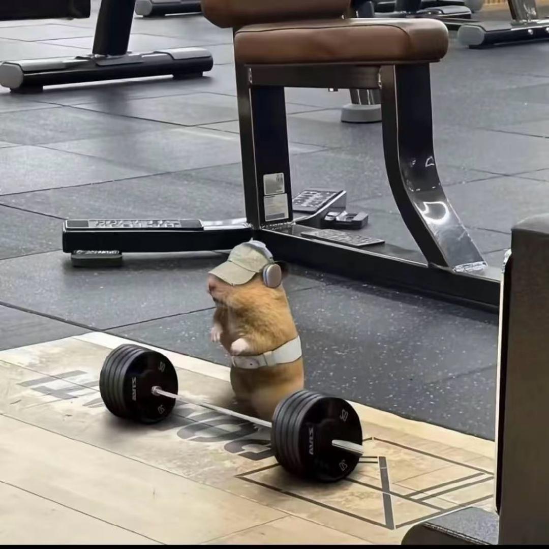 九日