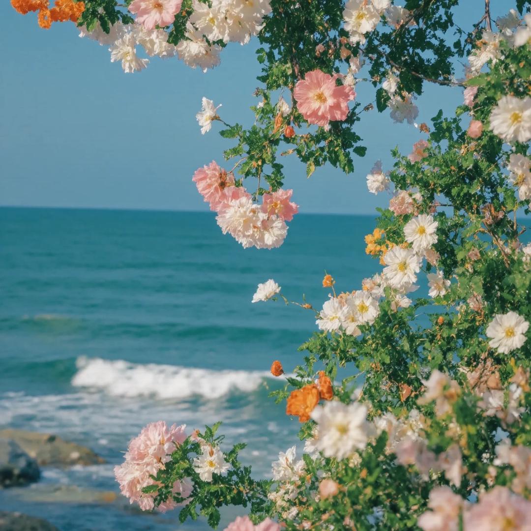 花花 ゙゙