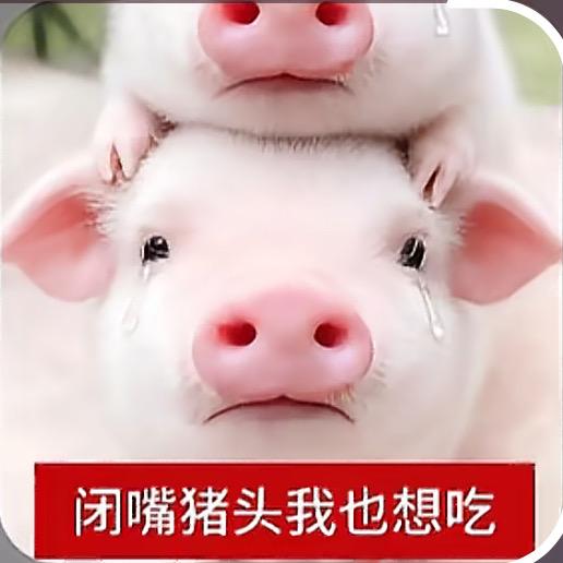 ☁️🎃‘胶巴钳🔧