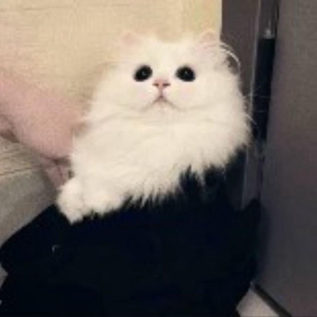 告别总在冬季