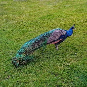 海尔电器(升宇雅苑店)媛恋林直播1号