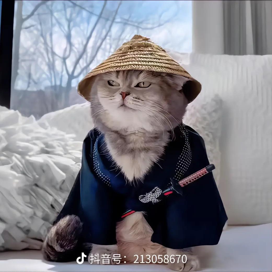 天运回收三元催化
