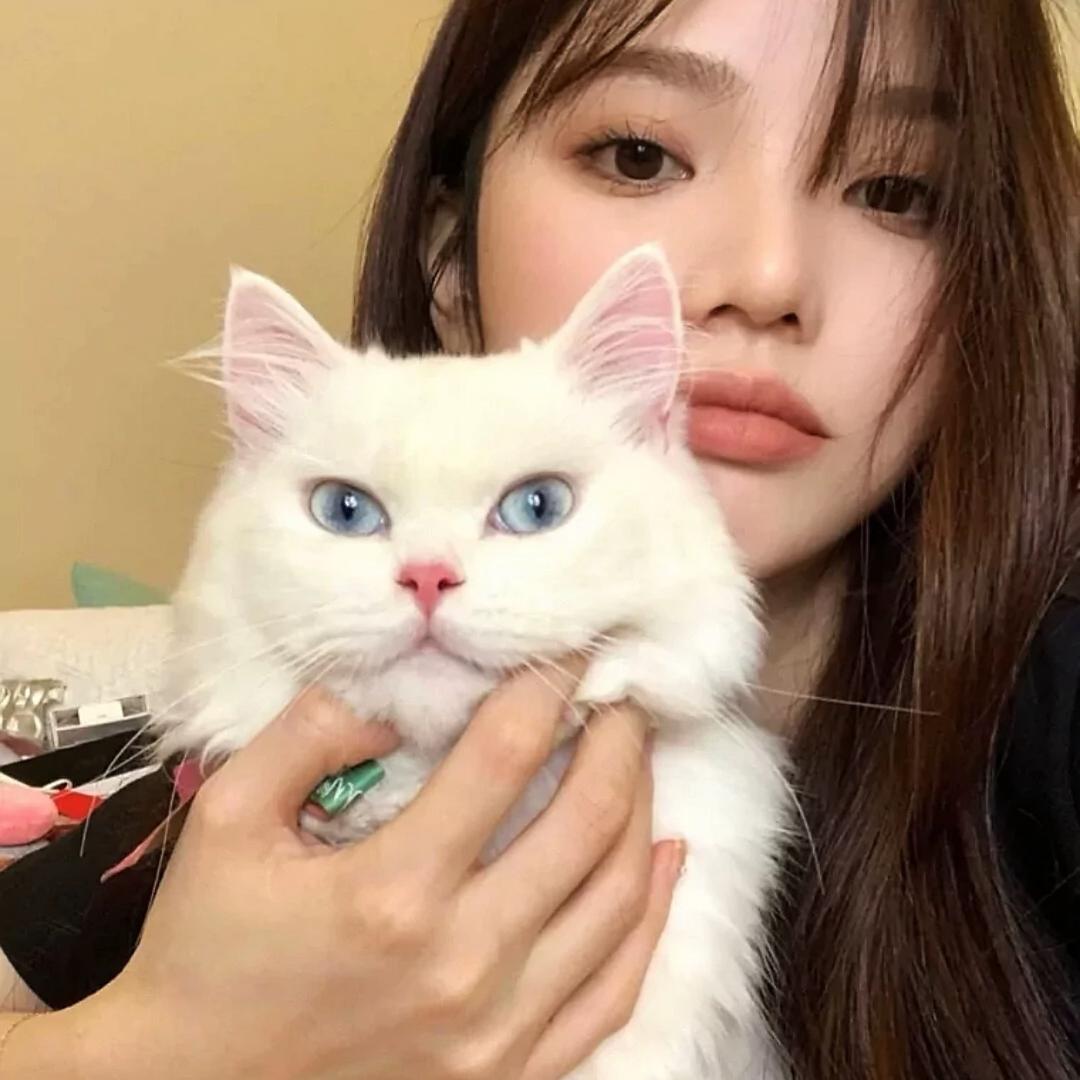 嗯。