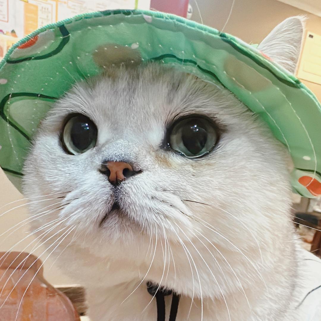 佐佑