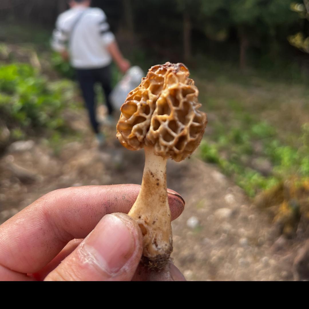 歆洋装饰