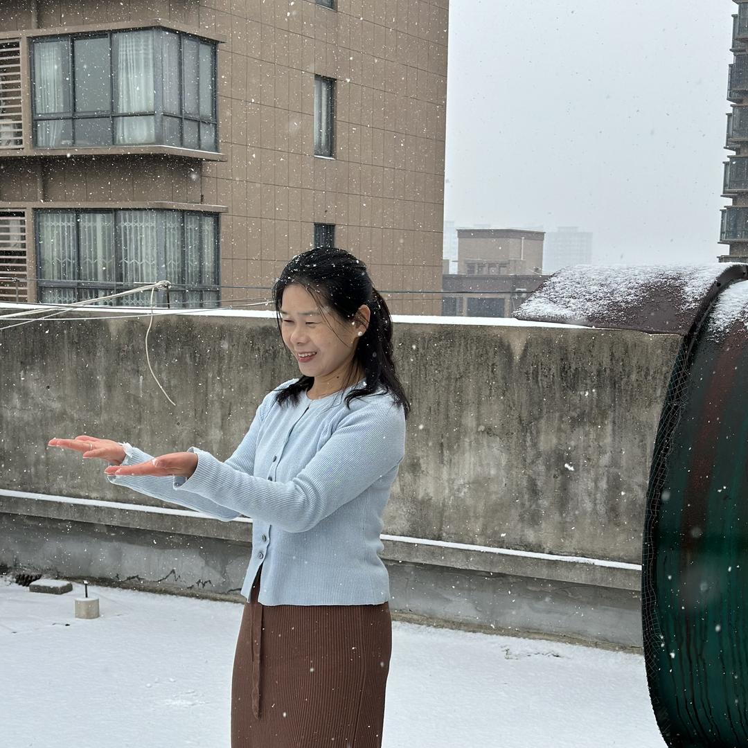 海燕在飞扬