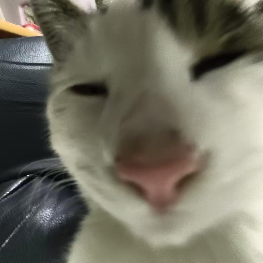 badada