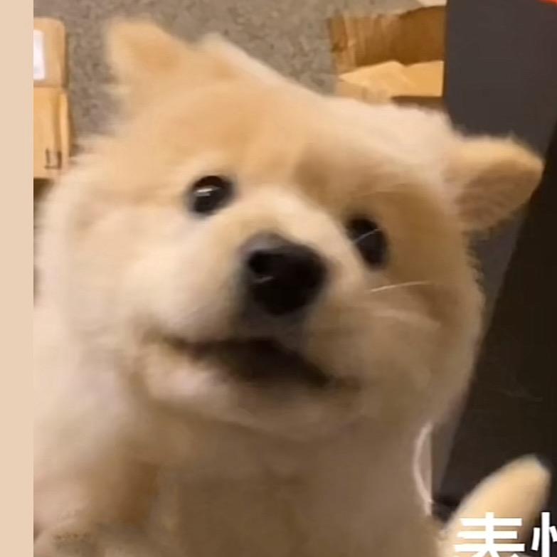 晨阿晨