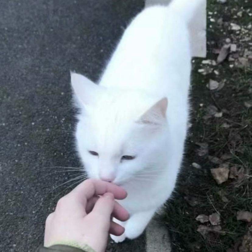 唉