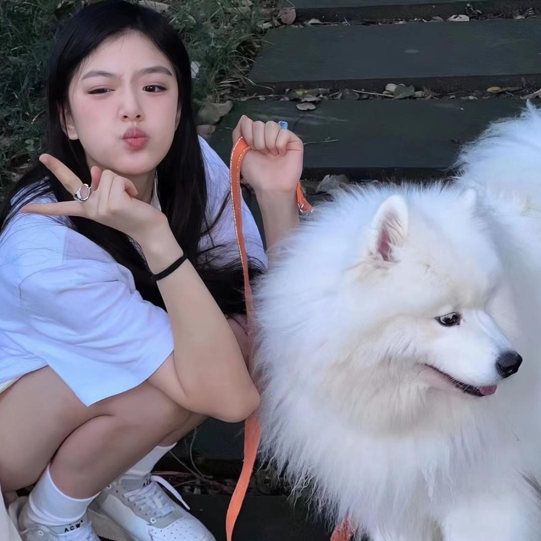 爱ci香菜•