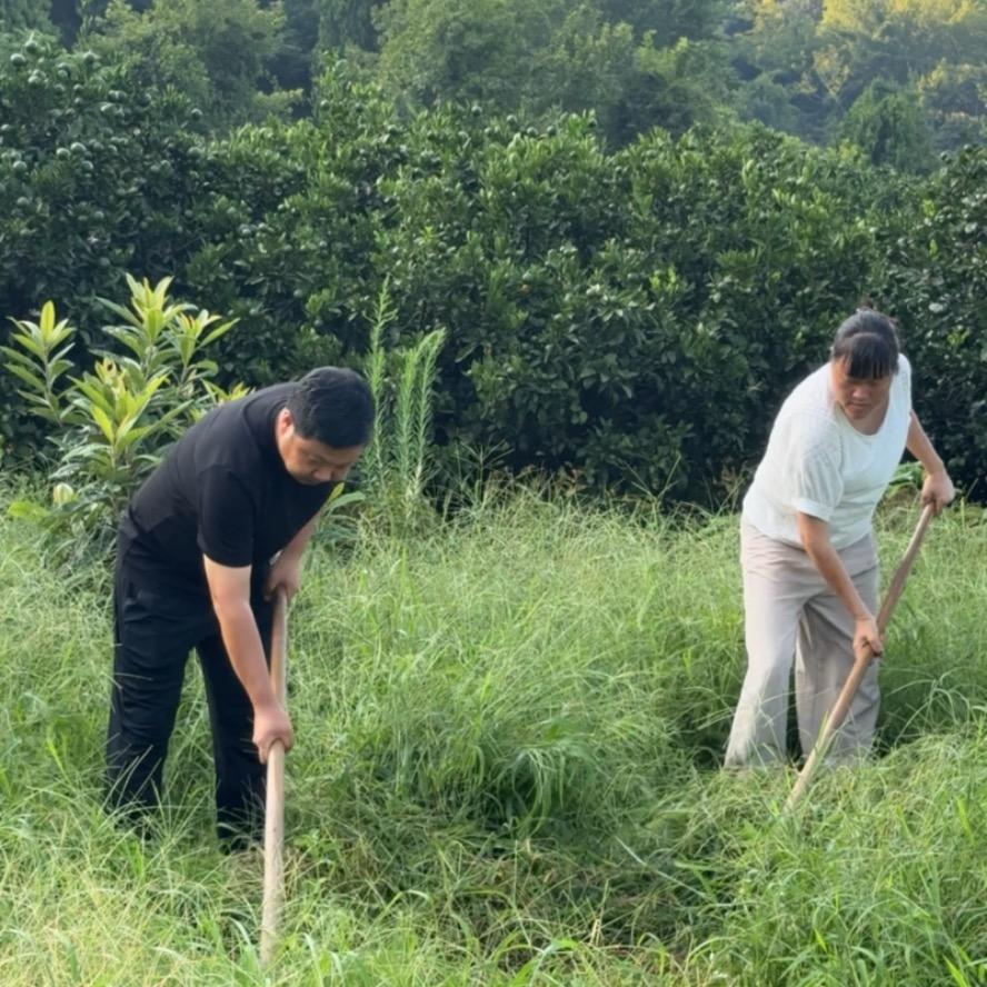 阿美和大旺
