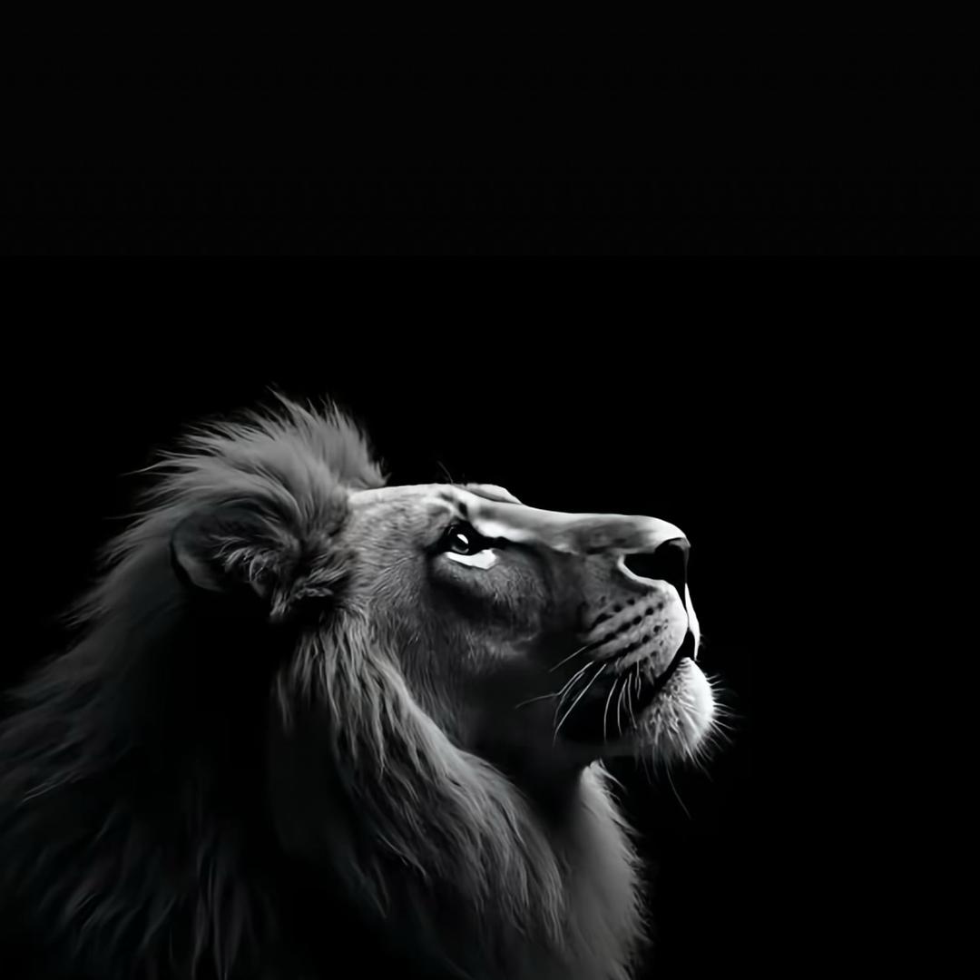 阿德（分享老黄历）