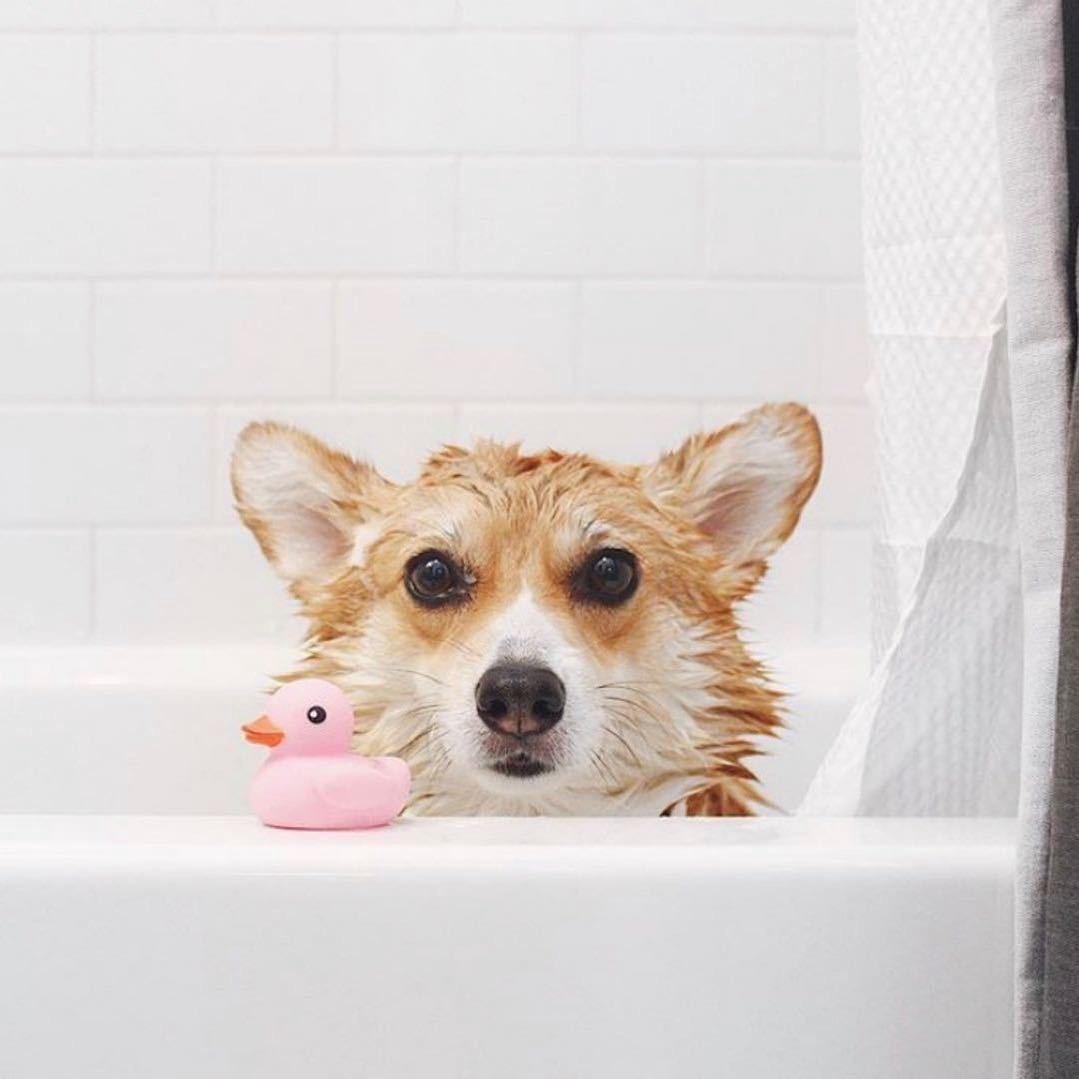 汪师傅源头工厂好物