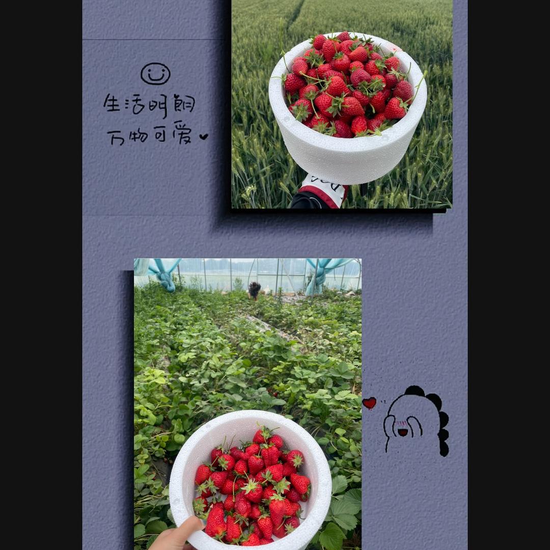 雁卿优品小铺