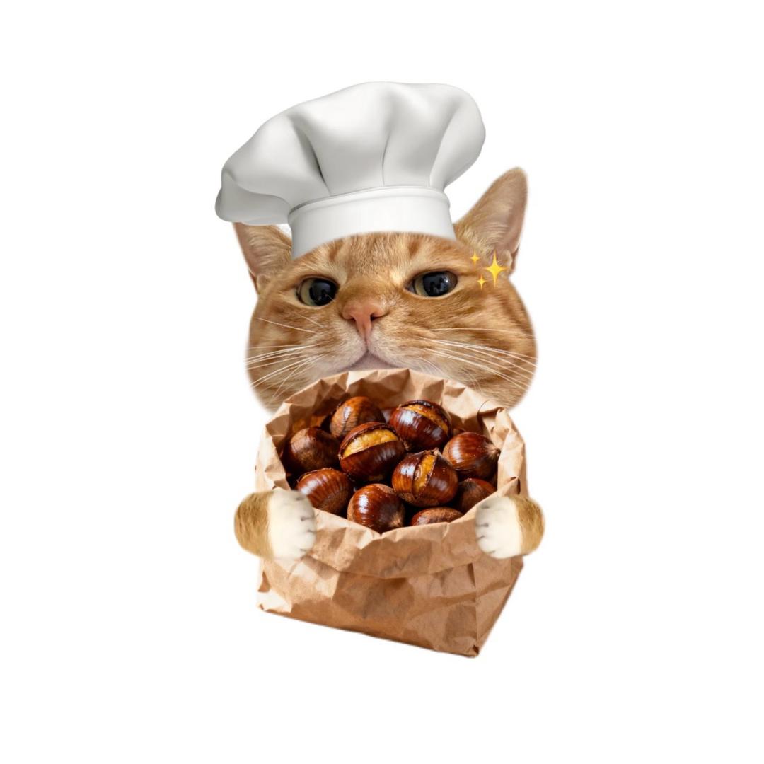 🌰⁰̷̴͈ᴥ⁰̷̴͈🌰