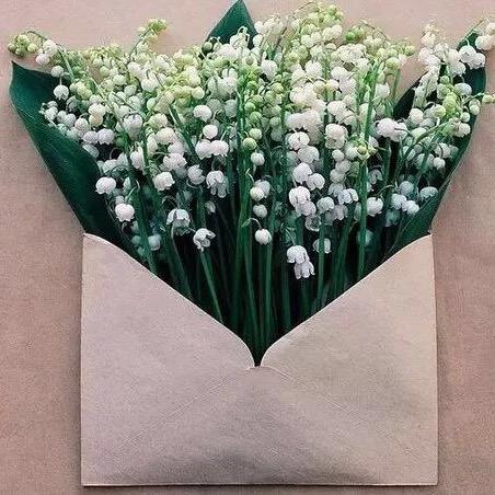 喜味味粥粉面饭官方号