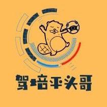 驾培平头哥