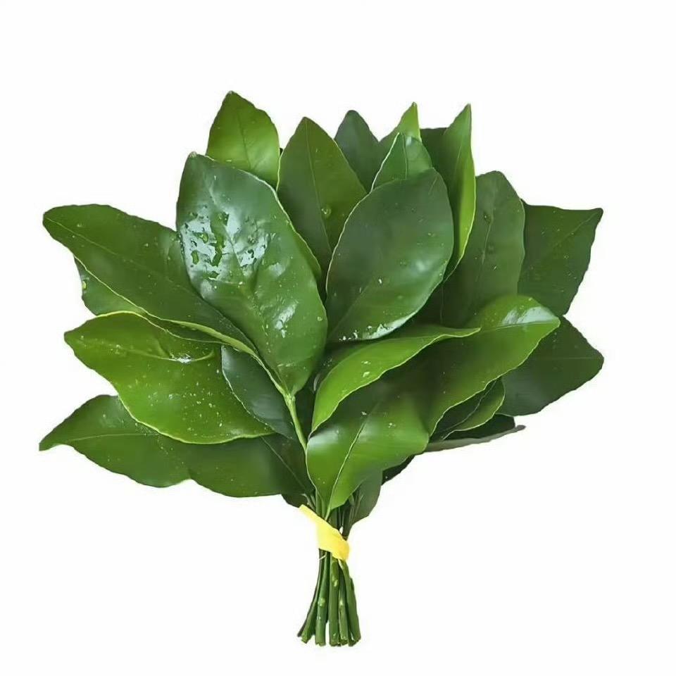 闹麻了