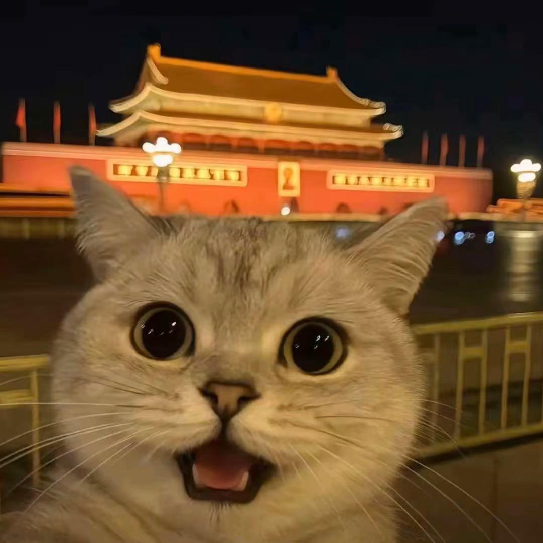 神秘的小游客