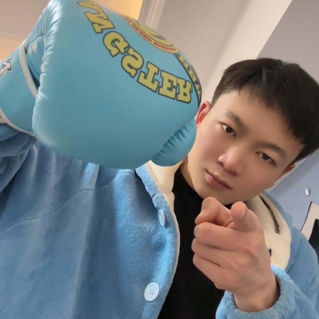 拳能王【武艺集大成者】