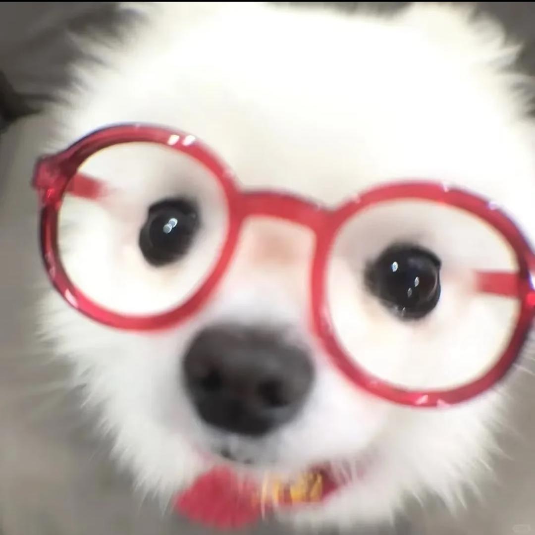 谢折小美