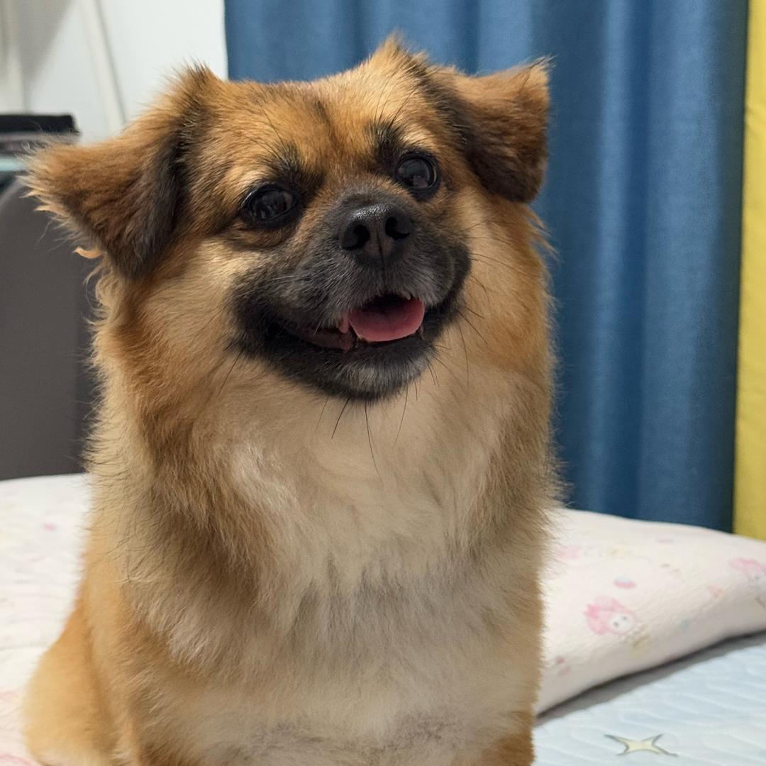小陈💙