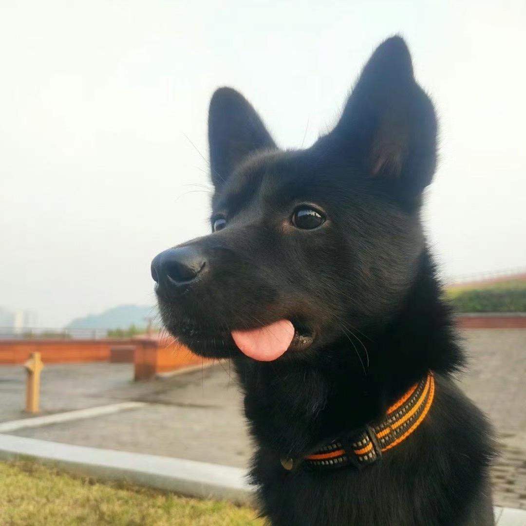霉运快离我远一点啊