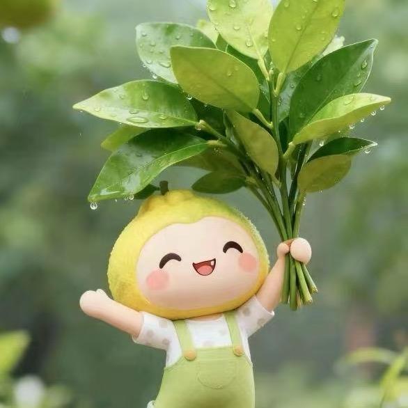 💞随遇而安👑