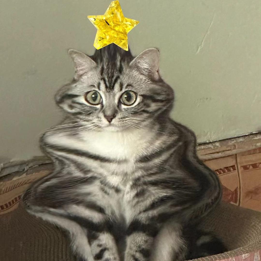 金喜虎虎